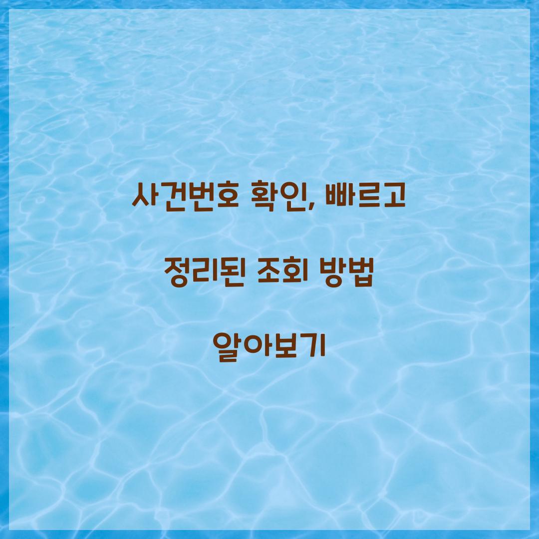 사건번호 확인