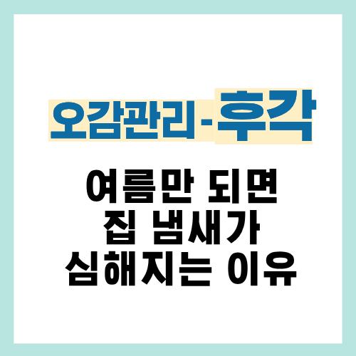 20편. 여름철 집안 냄새 심해지는 이유와 관리 방법