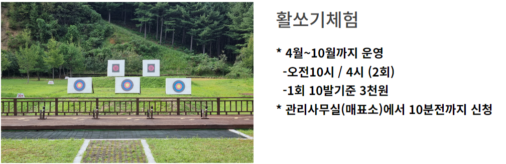 강원 숲체험장