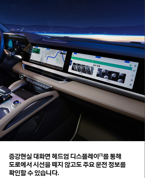 그랑 콜레오스 옵션1