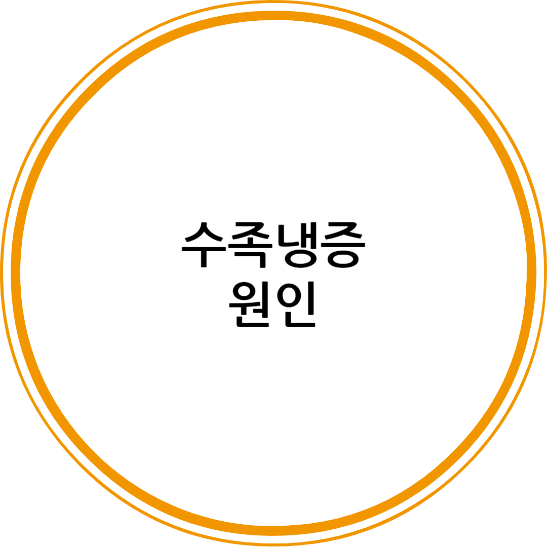 수족냉증 원인