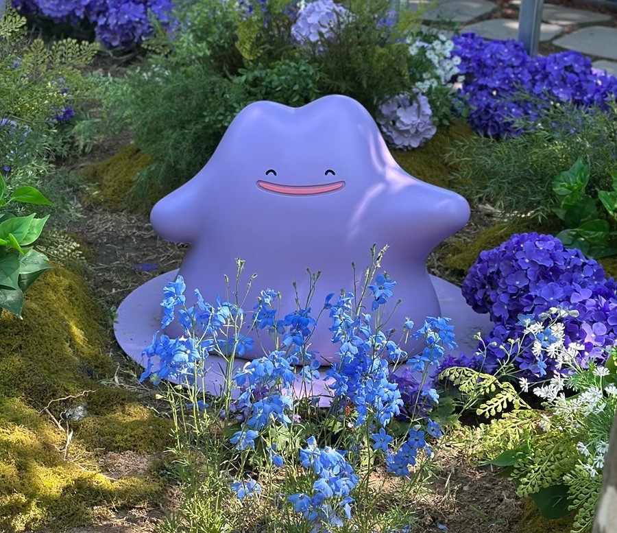 메타몽 프로젝트 : 메타몽 가든