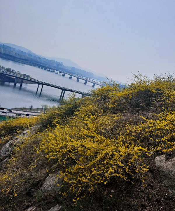 응봉산에서 바라본 한강