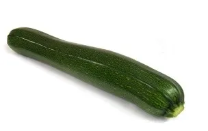 박 재배 직파 심기 순 따기 말림 보관_8