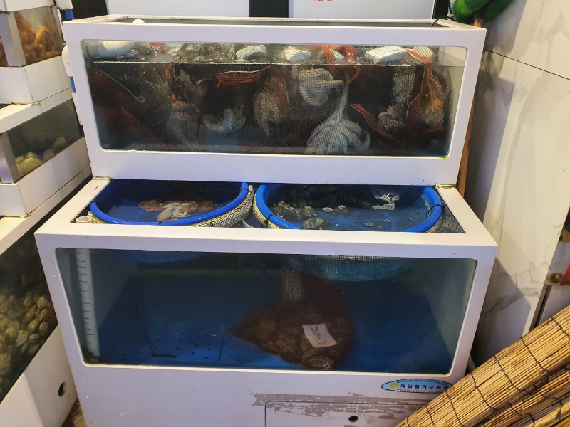 신선한 수산물