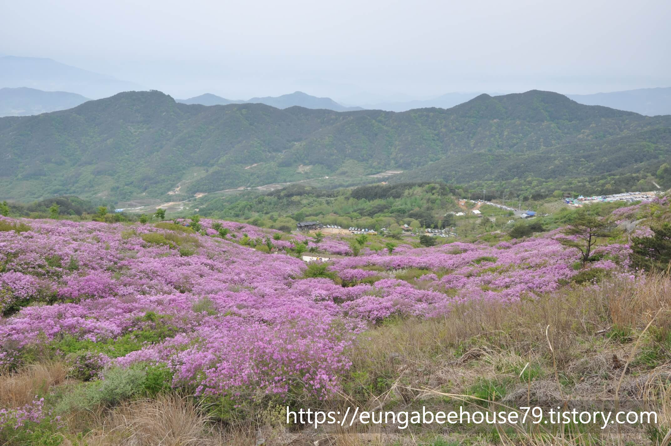 산청 황매산 철쭉제