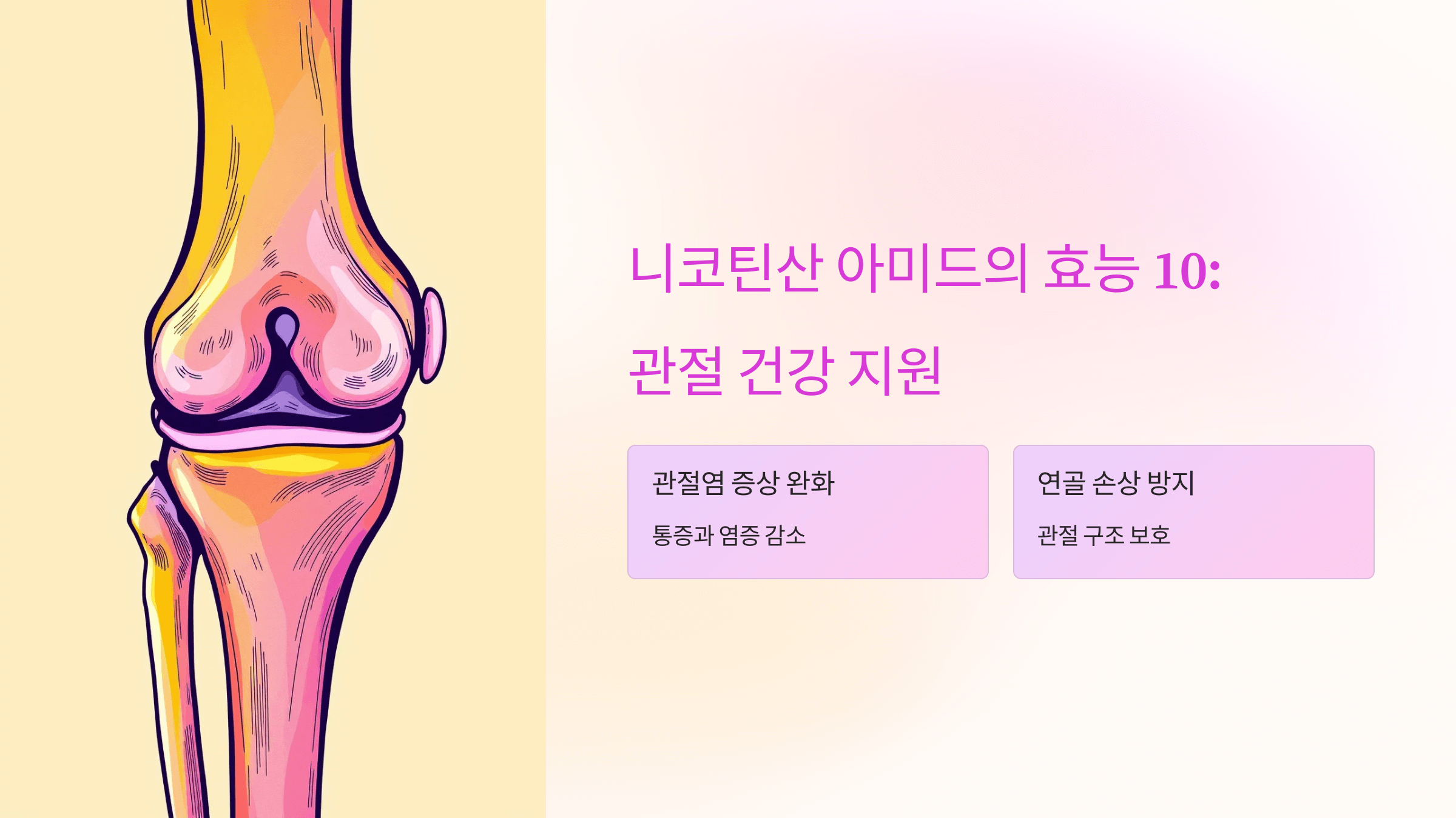 니코틴산 아미드와 관련된 사진입니다.
