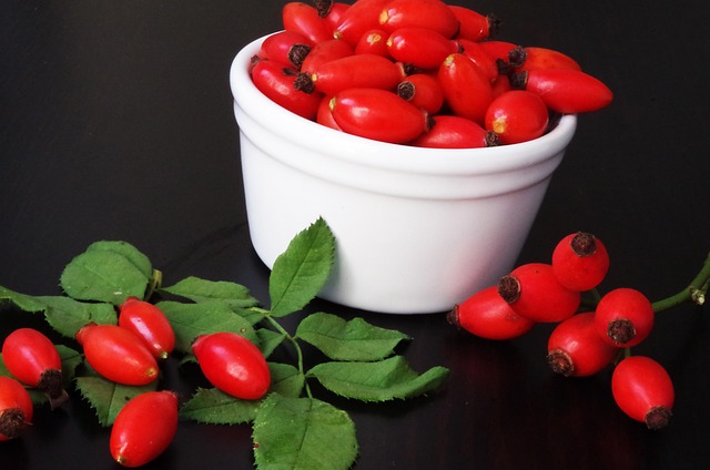 복부 초음파로 알 수 있는 것 2