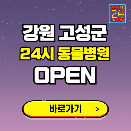 강원 고성군 24시 동물병원 진료하는 곳 ❘ 설날 휴일 야간 심야 문여는곳 찾기 ❘ 응급진료