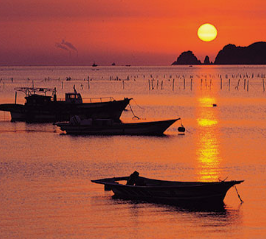 당진 아마존 아쿠아파크 할인방법