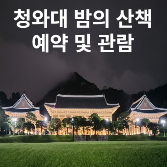 청와대 야간개장