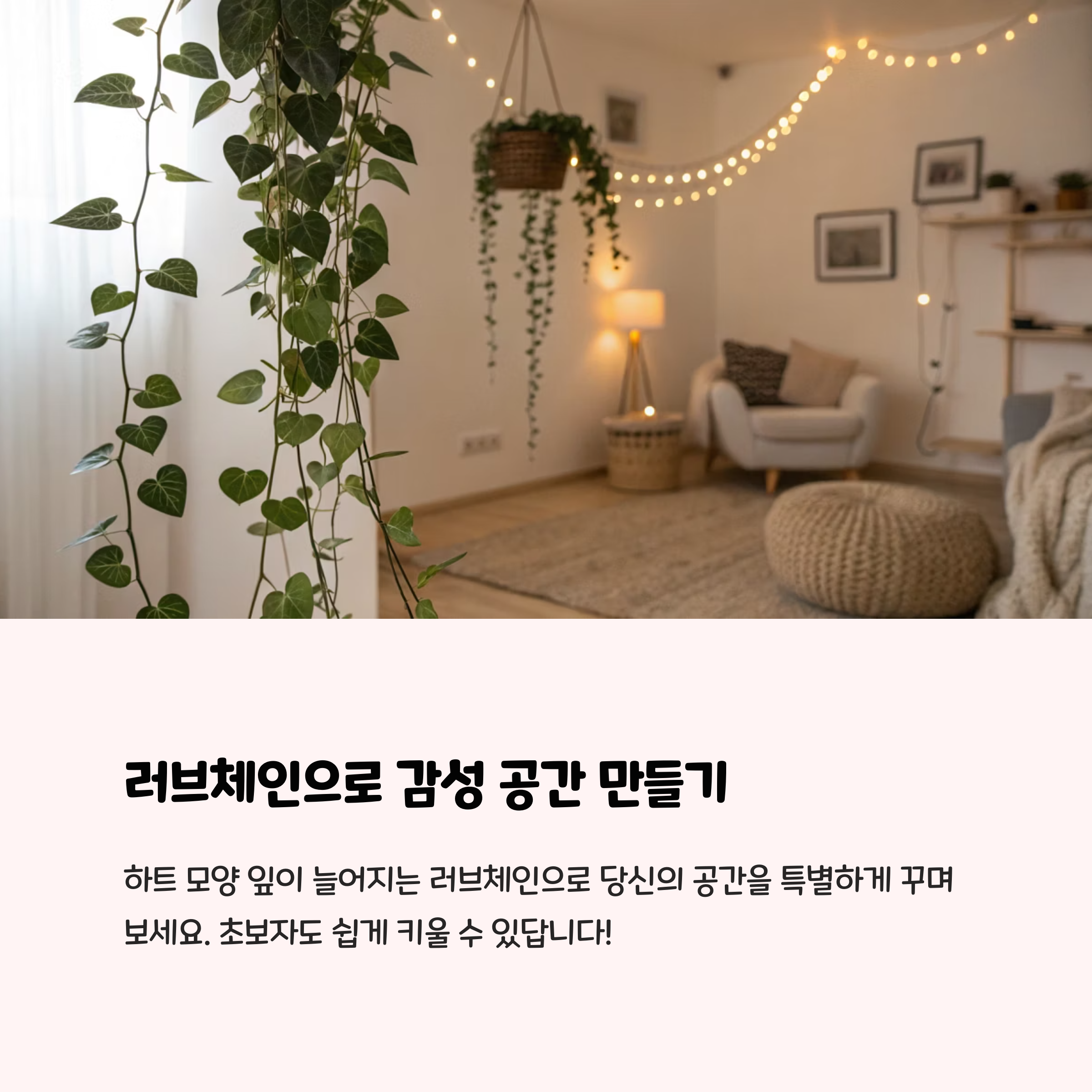 러브체인