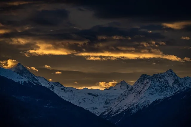 포르투갈 전통주 아과르덴트 벨랴 포도주 증류 고급 브랜디_9