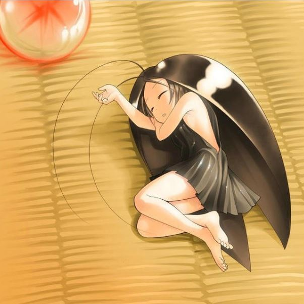 집벌레 종류 퇴치법