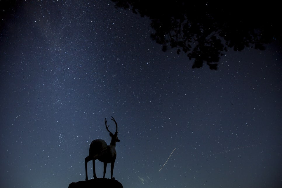 별빛 가득한 국내 최고의 별 관측 여행지 3곳 추천