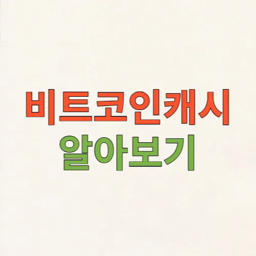 비트코인 캐시