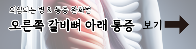 버튼