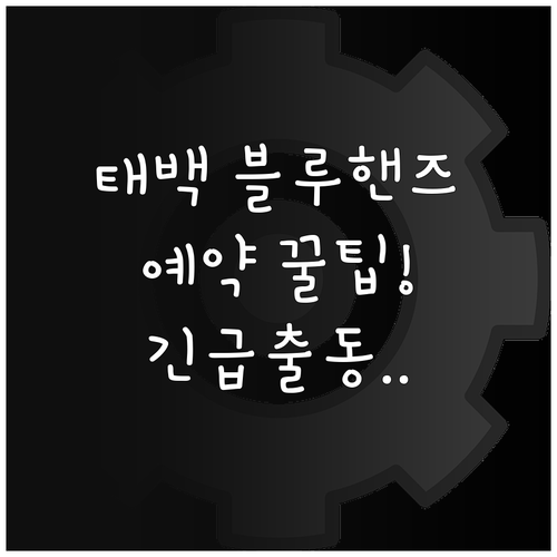 태백 현대차 블루핸즈 예약 앱 사용법..