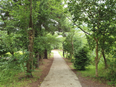 제주여행 2박3일 추천 코스(자유여행)