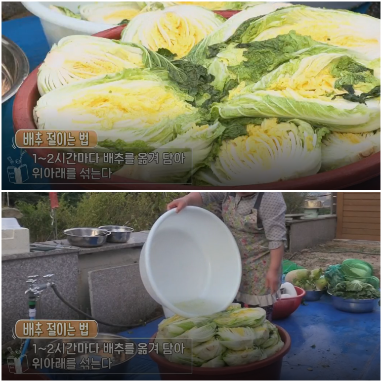 김장김치