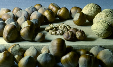 마그네슘의 근육 경련 완화와 신경 안정 효과