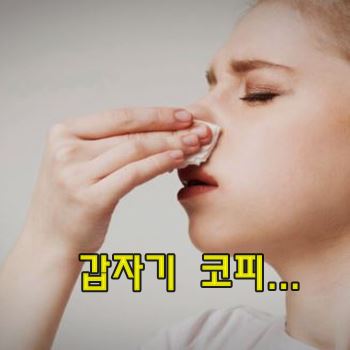 갑자기 코피