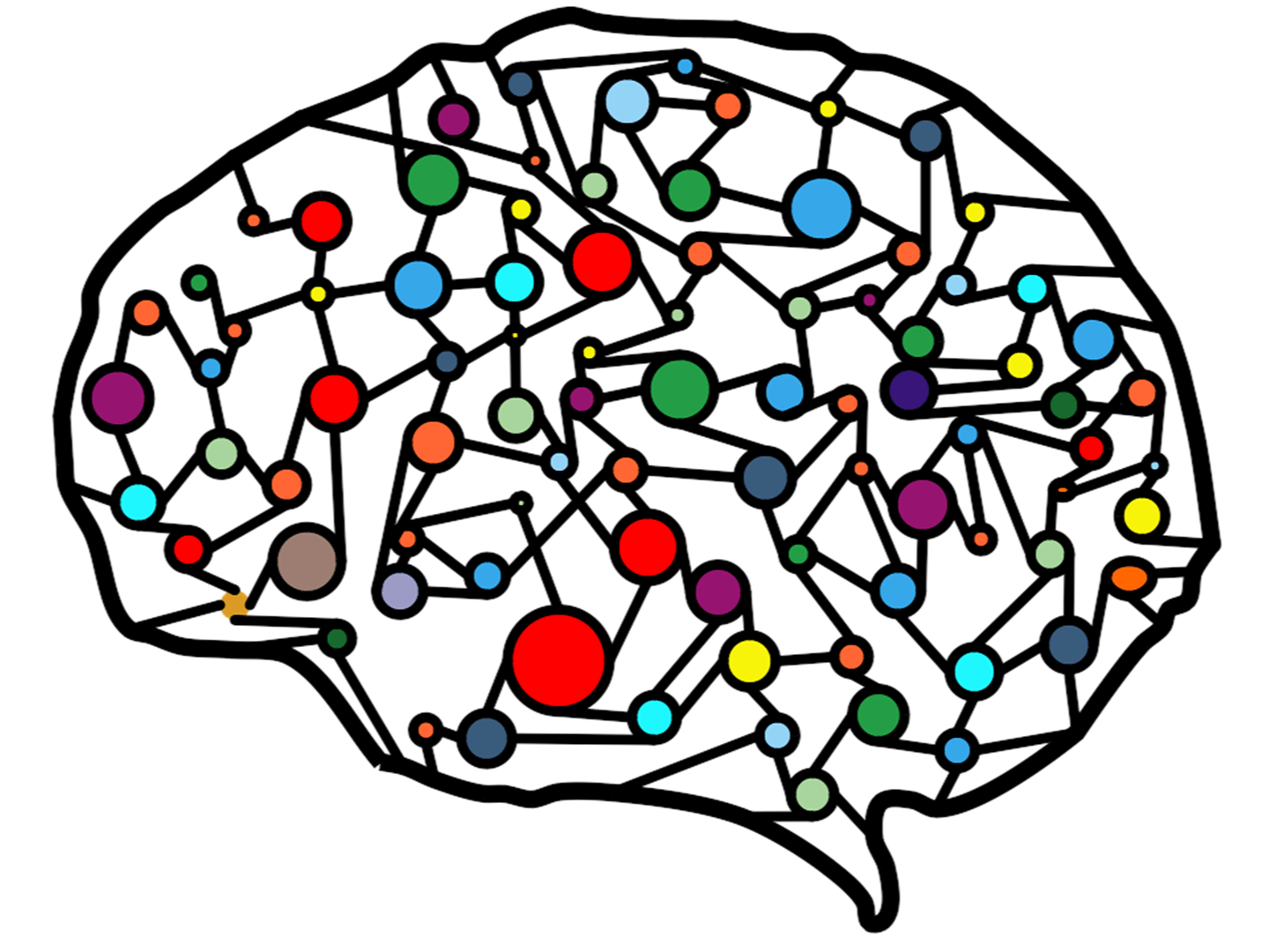 호두 세포 산화 손상 완화