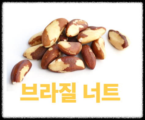 브라질너트