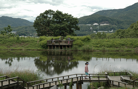 우면산 생태공원 이미지