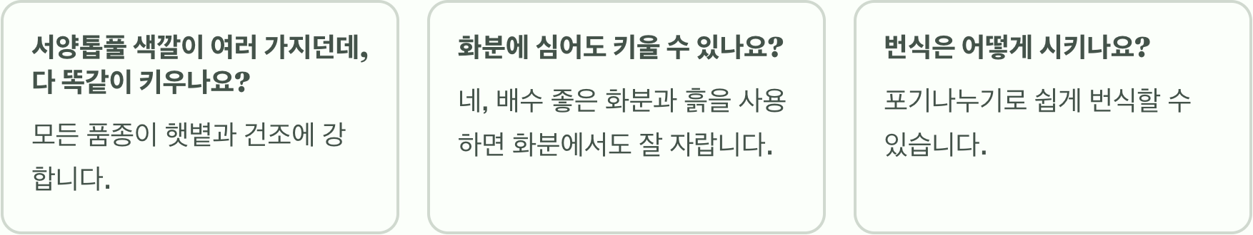 초보 정원사의 구세주, 서양톱풀 키우기 A to Z