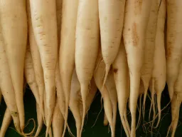 김장 김치 양념 만들기