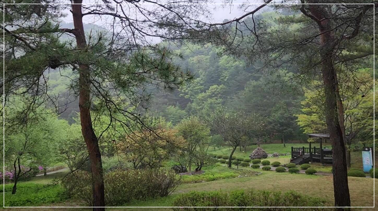 홍천 가볼만한곳 베스트10 가리산 자연휴양림