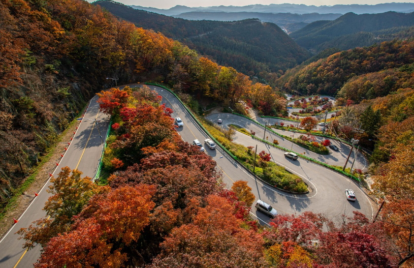 국내당일치기여행 무계획
