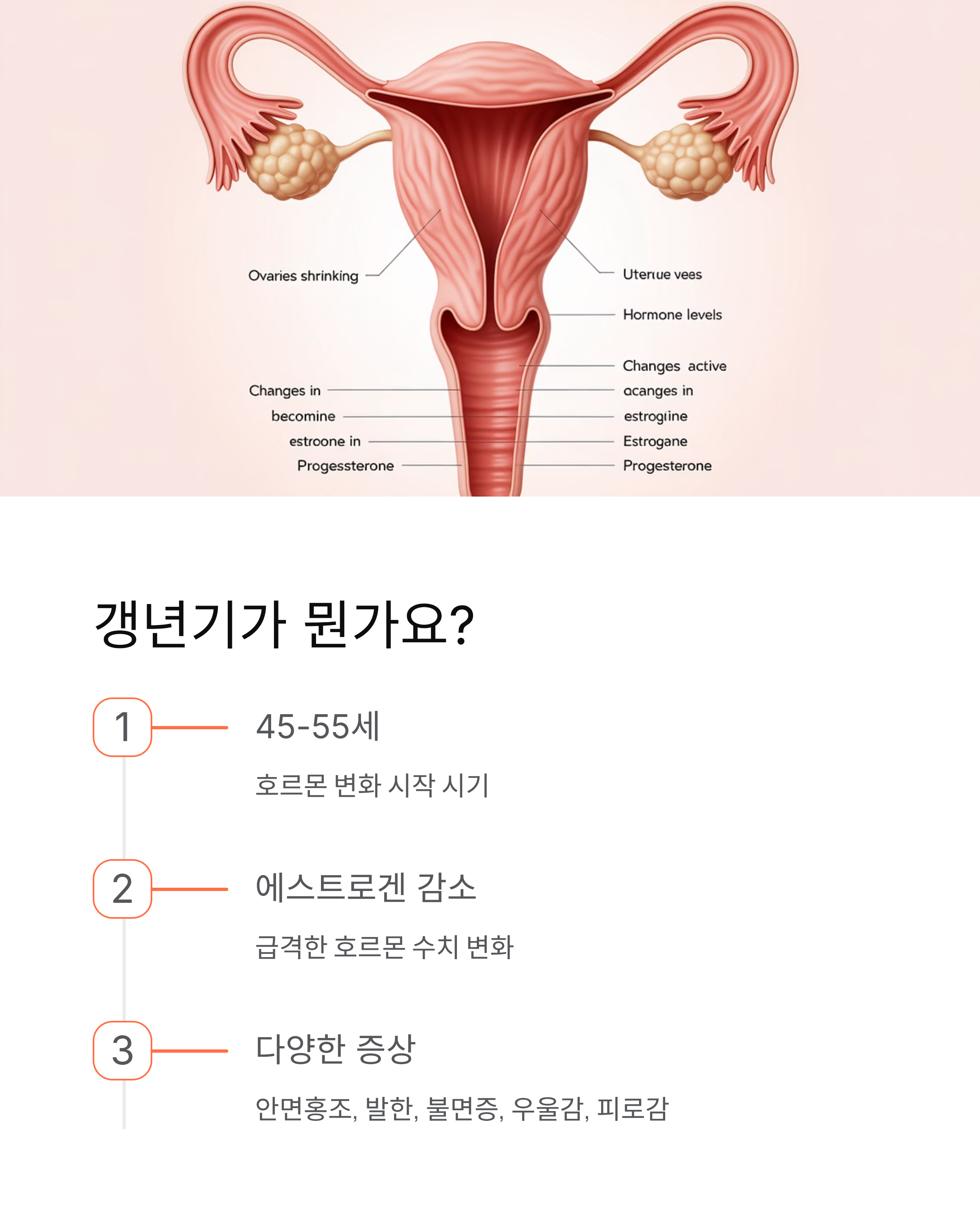 갱년기 홍삼 효능 완벽 가이드 ❘ 증상 완화부터 제대로 먹는 법까지
