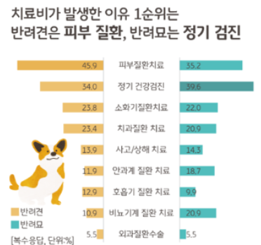 펫보험 펫실비보험 반려견 반려묘