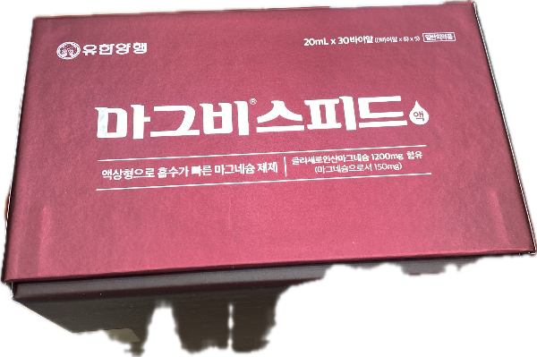 마그비스피드