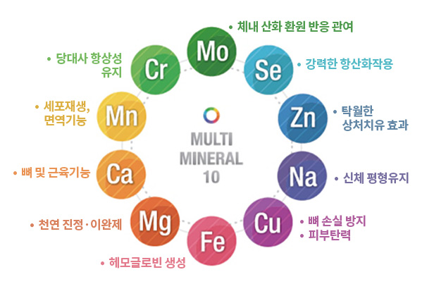 무화과 효능 칼로리 부작용 건강하게 먹는 방법