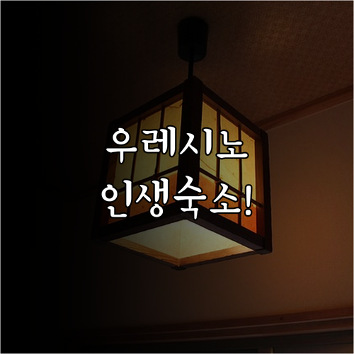 우레시노 온천 마을 숙소 추천 TOP..