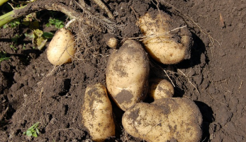 토지이용계획 확인원 신청 꿀팁 5