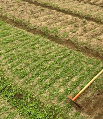 2025 농업직불금 지급시기 신청방법 