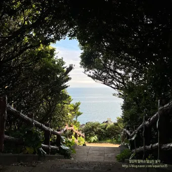 제주도 서귀포 남원 큰엉해안경승지 한반도 지형 포토존과 여행 꿀팁으로 정리_21