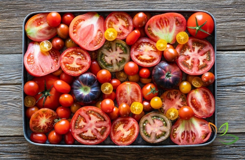 다양한 종류의 신선한 토마토 슬라이스와 방울토마토, 리코펜이 풍부한 항산화 식품 VIA CANVA