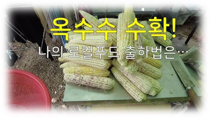 로컬푸드 출하 절차 등급 선별 라벨 위생 기준_1