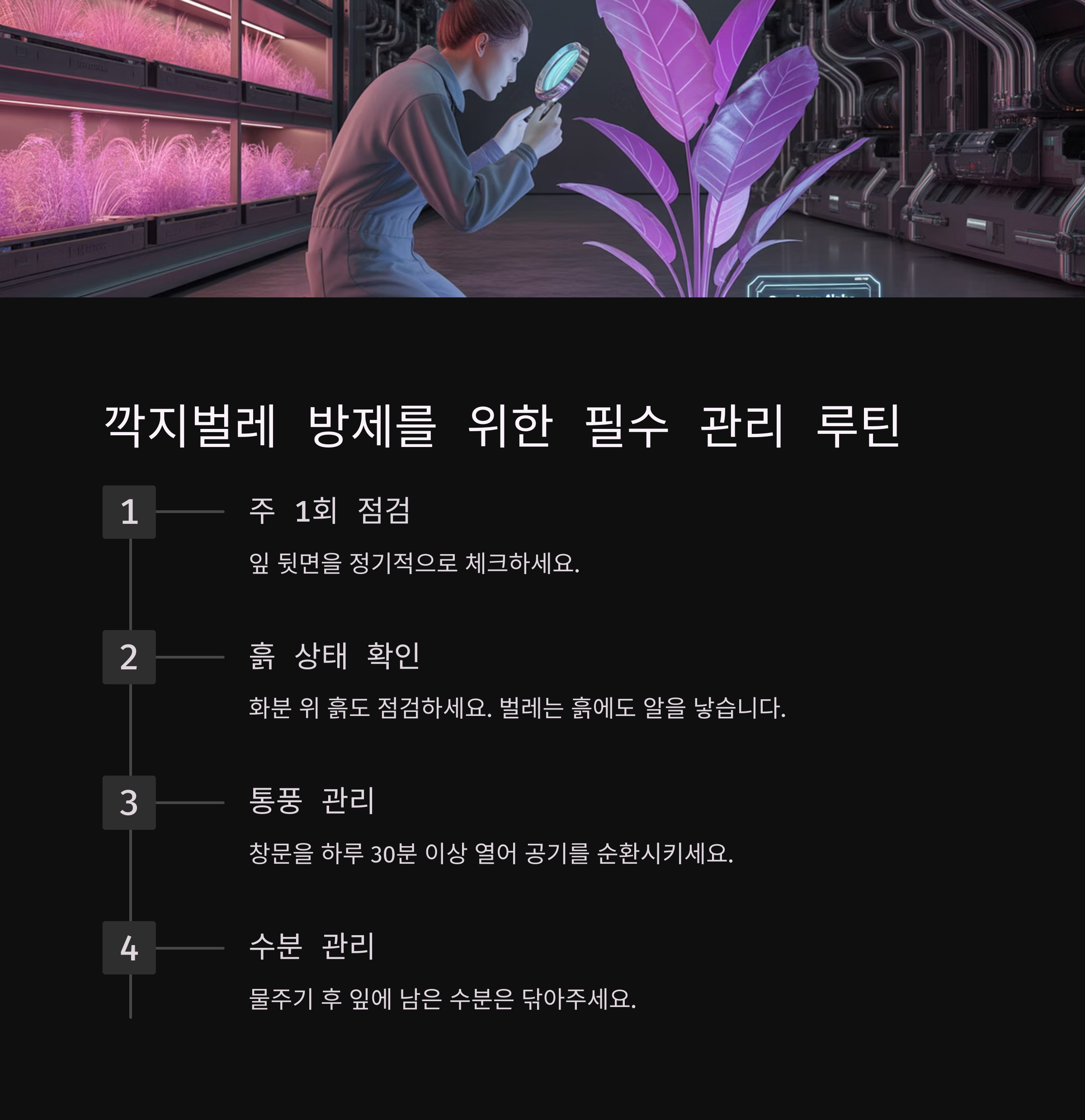 깍지벌레 방제를 위한 필수 관리 루틴