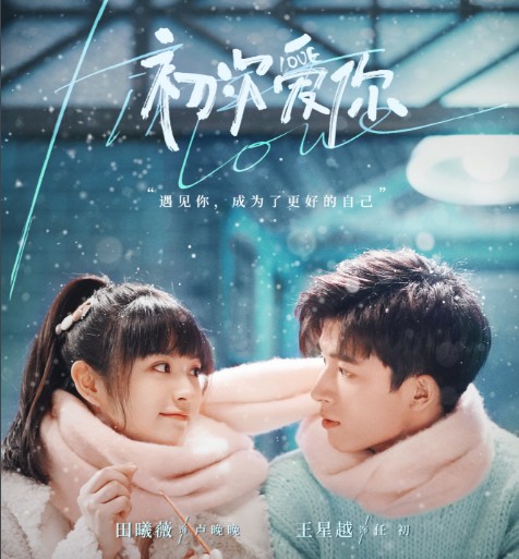 [중드추천] 드라마다시보기 초차애니 : 처음 널 사랑해 결말 줄거리 등장인물 전희미, 왕성월, 전혀녕, 왕가인