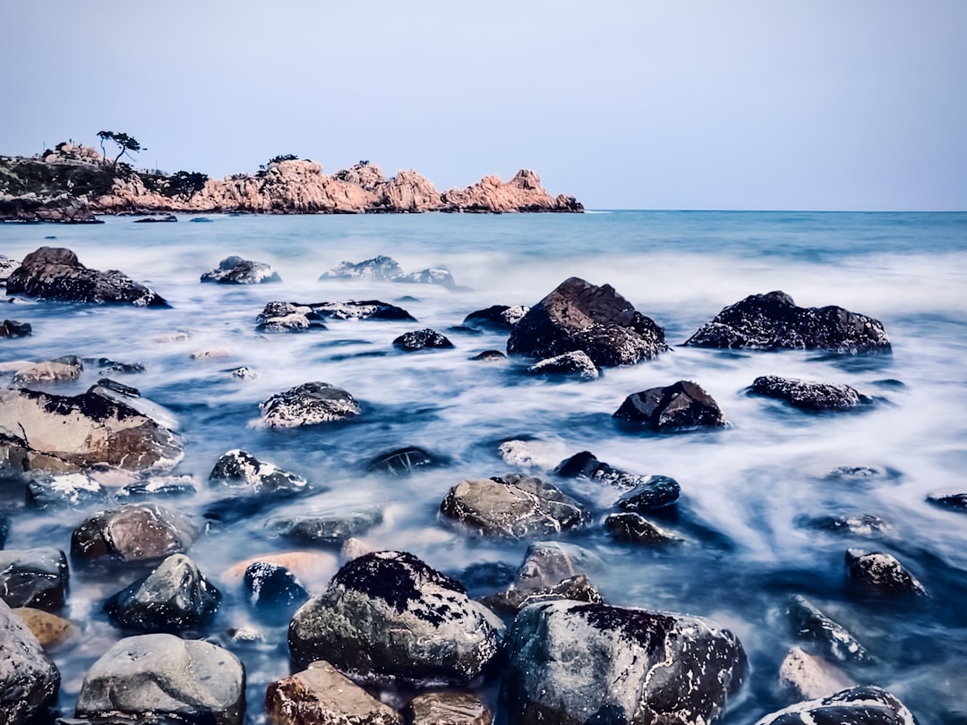 울산 코스트코 할인 정보: 스마트하게 쇼핑하는 법 관련 이미지 1