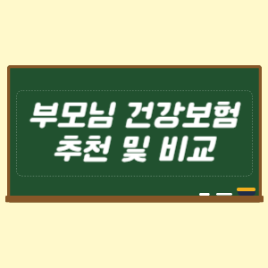 부모님 건강보험 추천