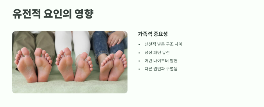 발톱이 두꺼워지는 이유 건강 신호일까 6