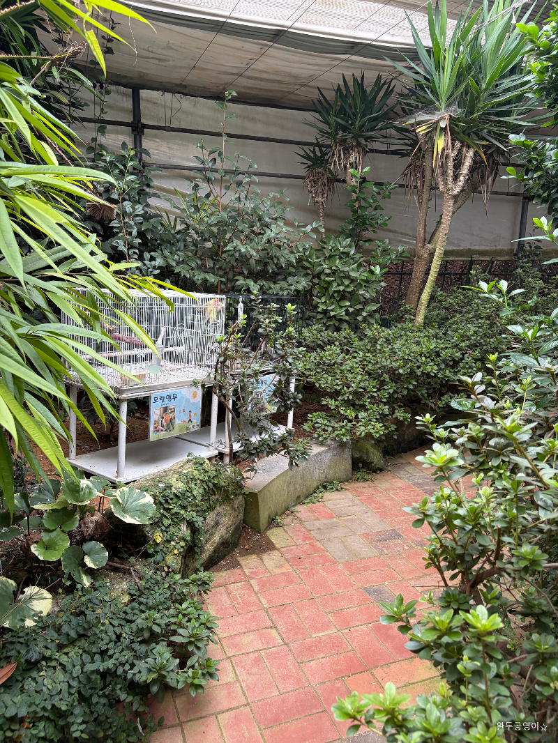 식물원처럼 꾸며진 동물의 정원 실내