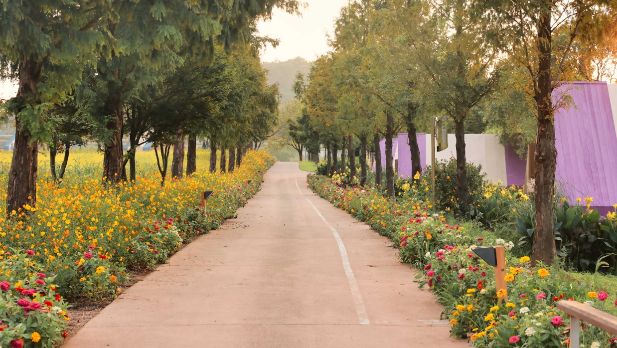 순천만 국제 정원 박람회